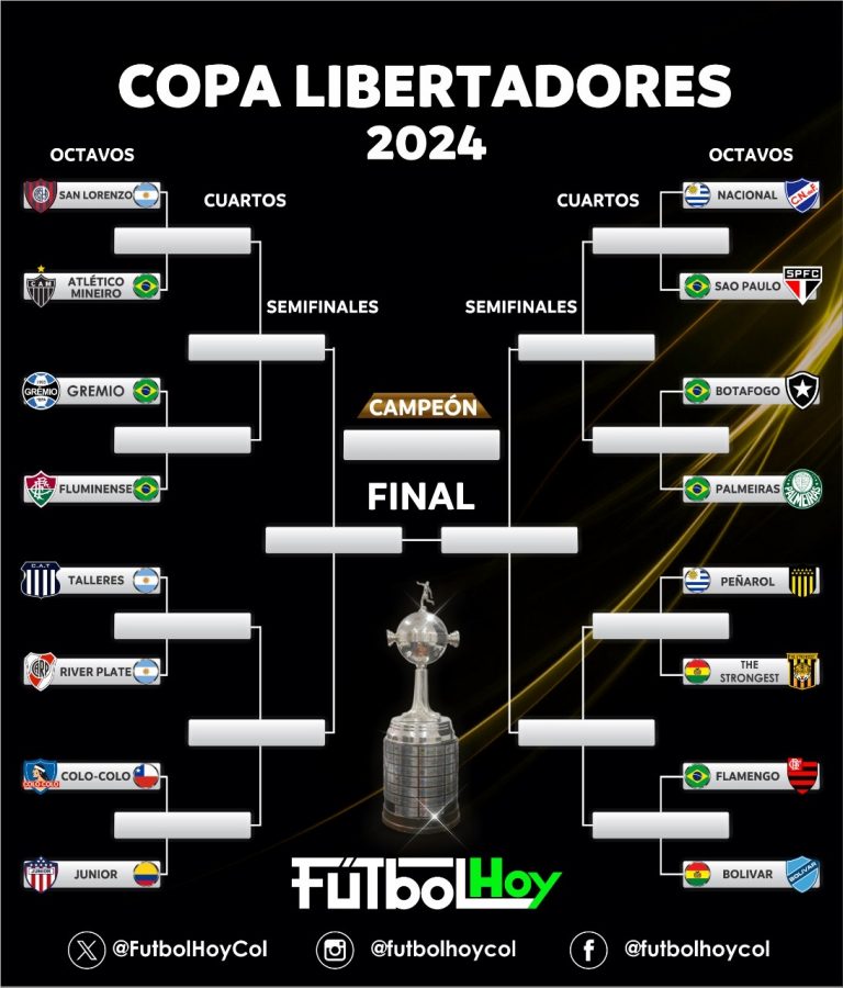 Libertadores: Así va el camino para levantar la gloria de la Copa